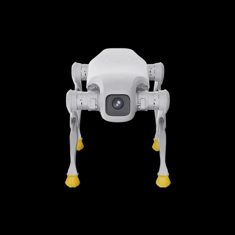 AgiBot D1 4