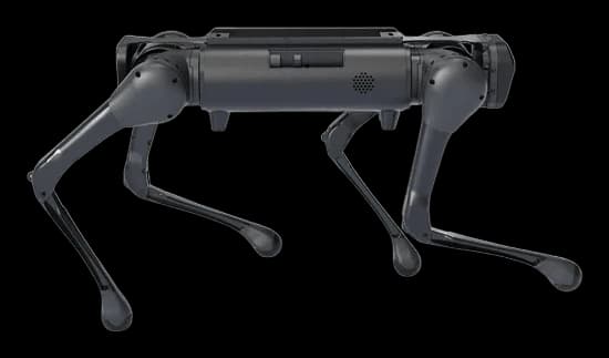 Unitree Aliengo 5